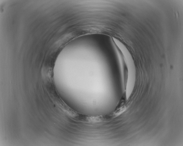 X0000060580141200512011742