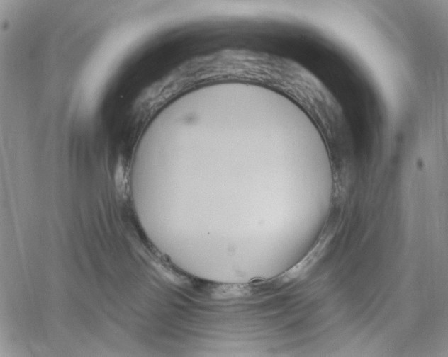 X0000060580142200512011742