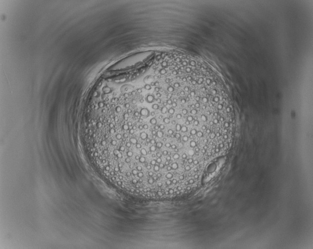 X0000060580145200512011741