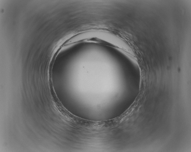 X0000060580148200512011741