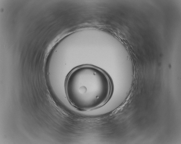 X0000060580150200512011741