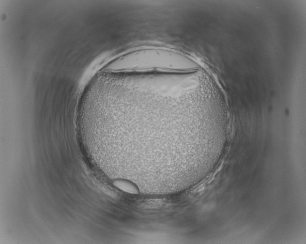 X0000060580151200512011741