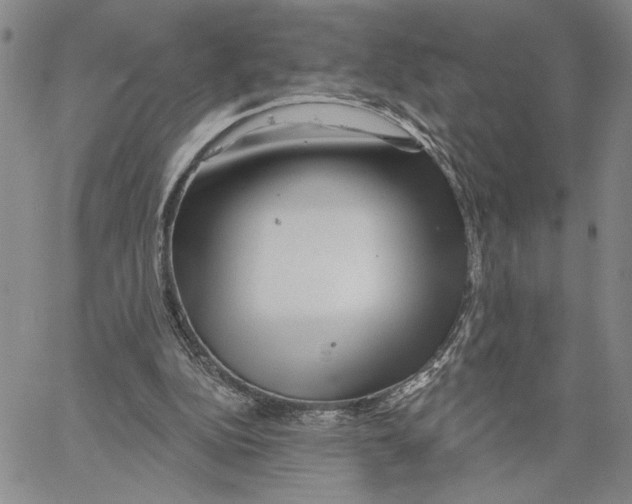 X0000060580152200512011741