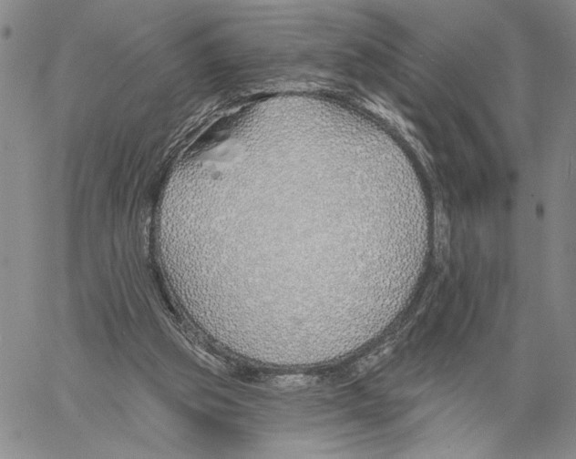 X0000060580153200512011741