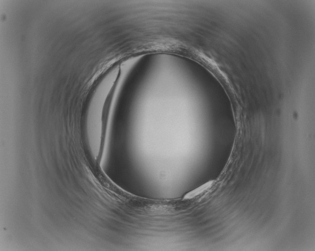 X0000060580154200512011741