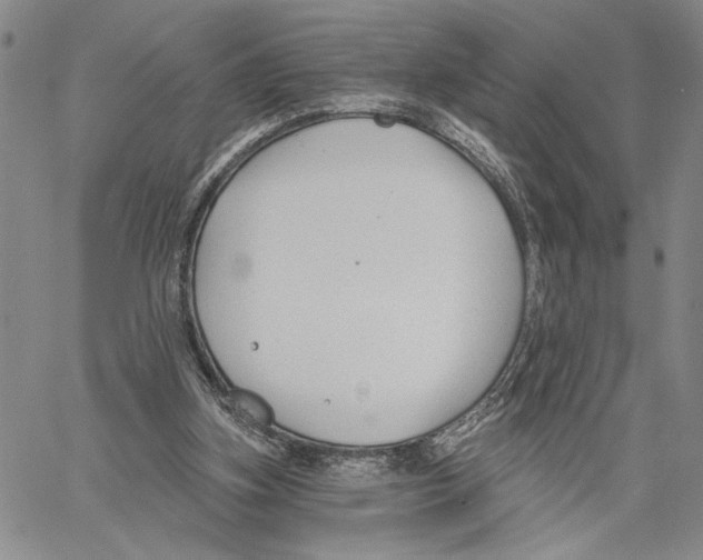 X0000060580155200512011741