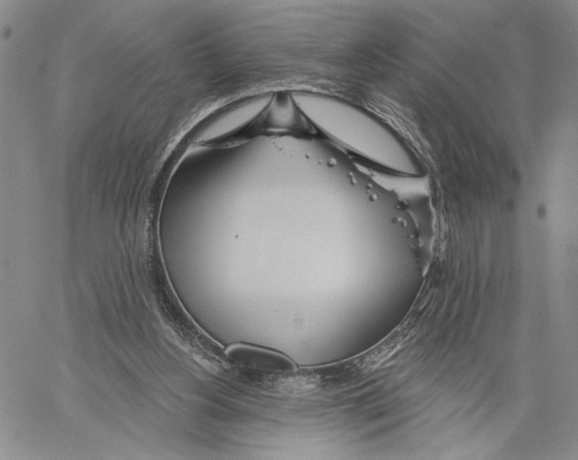 X0000060580156200512011742