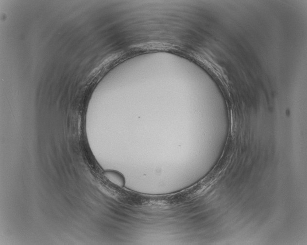 X0000060580157200512011742