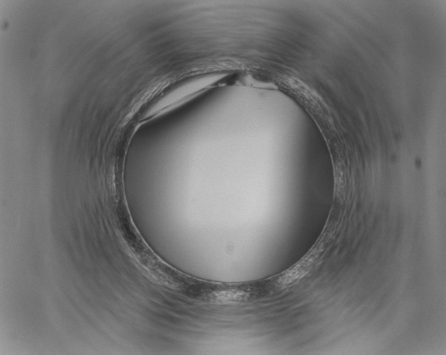 X0000060580158200512011742