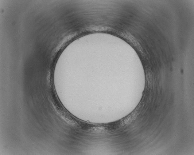 X0000060580159200512011742