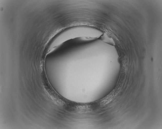 X0000060580160200512011742