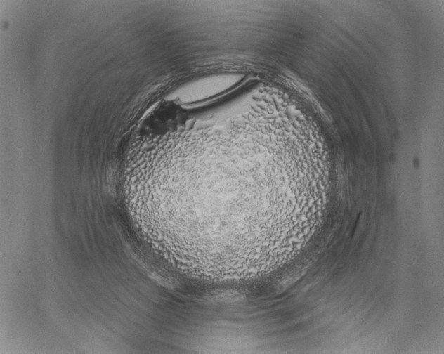 X0000060580161200512011742