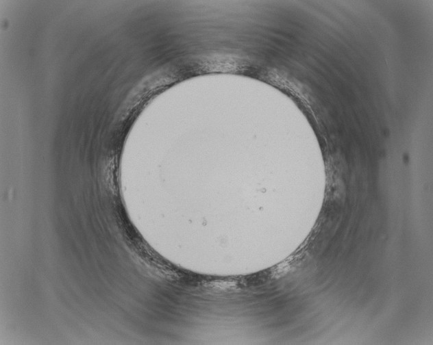 X0000060580162200512011742