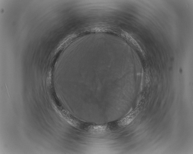 X0000060580163200512011742