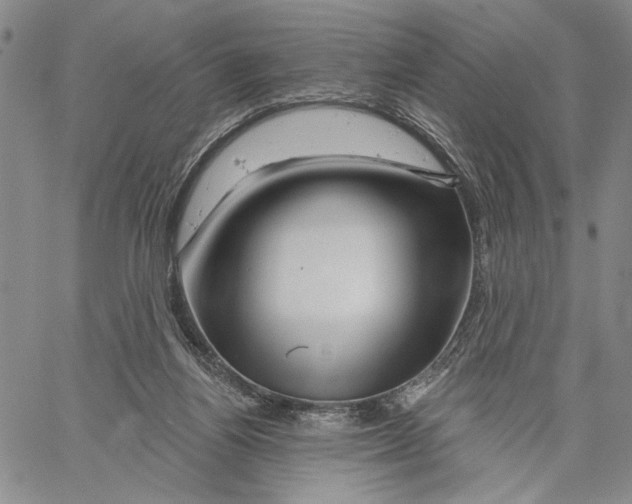 X0000060580164200512011742