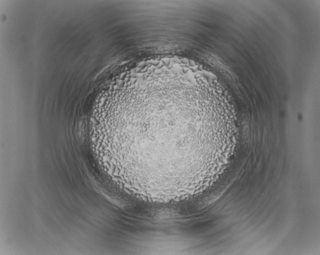 X0000060580165200512011742