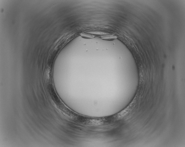 X0000060580166200512011742