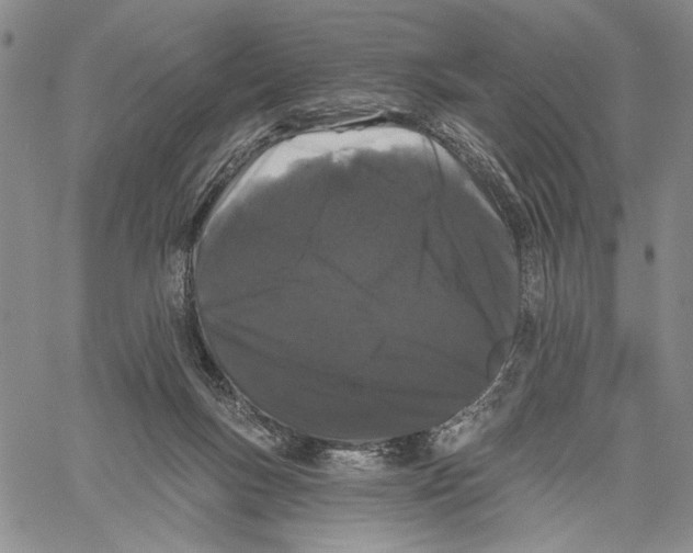 X0000060580167200512011742