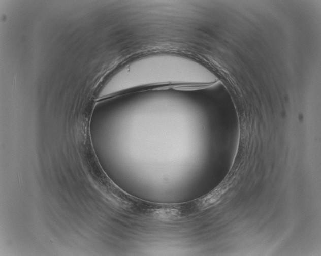 X0000060580168200512011742