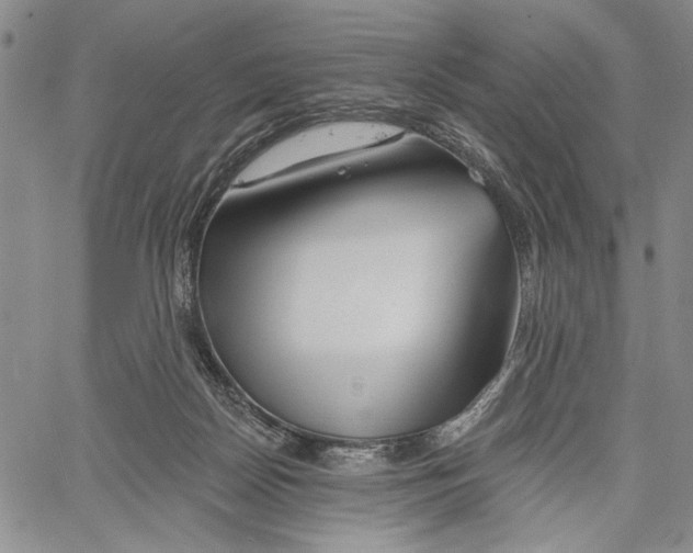 X0000060580170200512011742