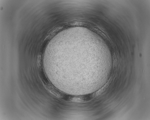 X0000060580171200512011742