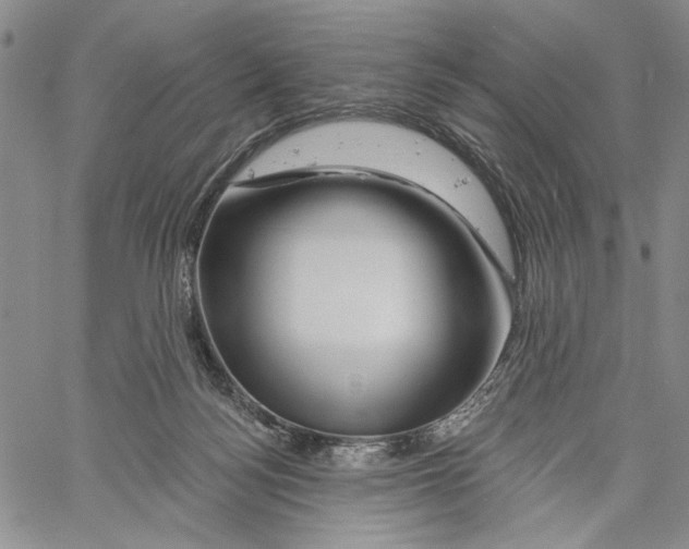 X0000060580172200512011742