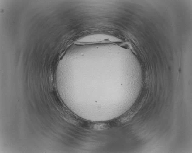 X0000060580173200512011742