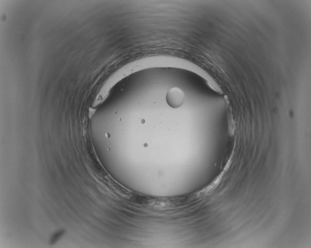 X0000060580174200512011742