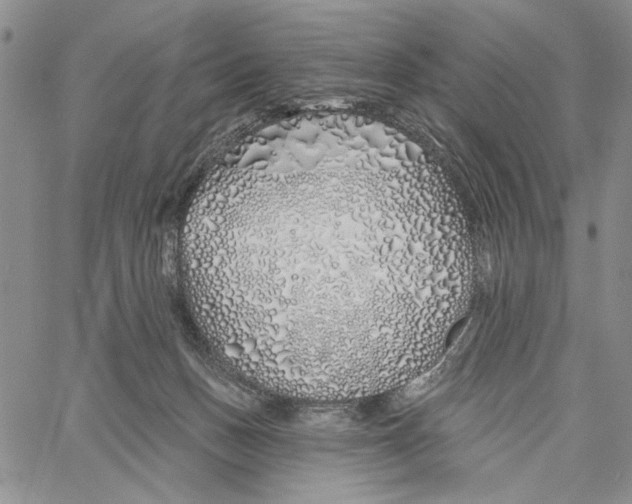 X0000060580175200512011742