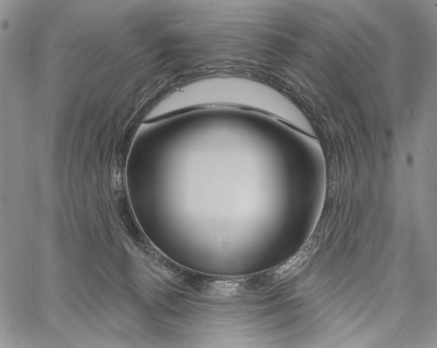 X0000060580176200512011742