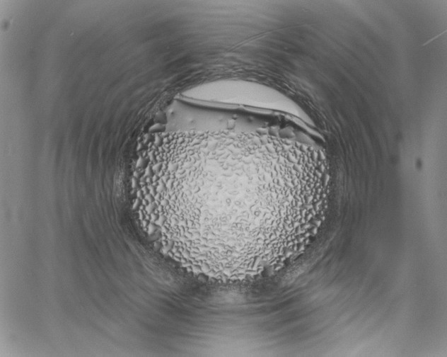 X0000060580177200512011742