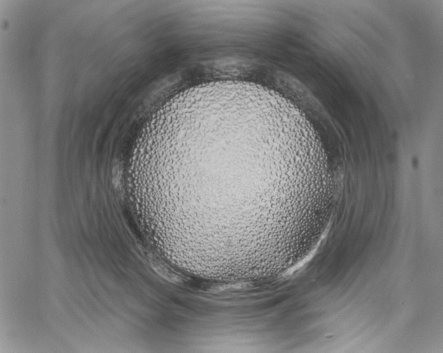 X0000060580178200512011742