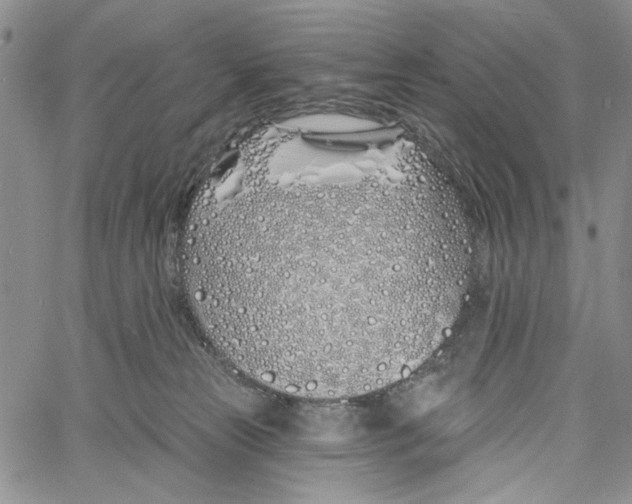 X0000060580181200512011742