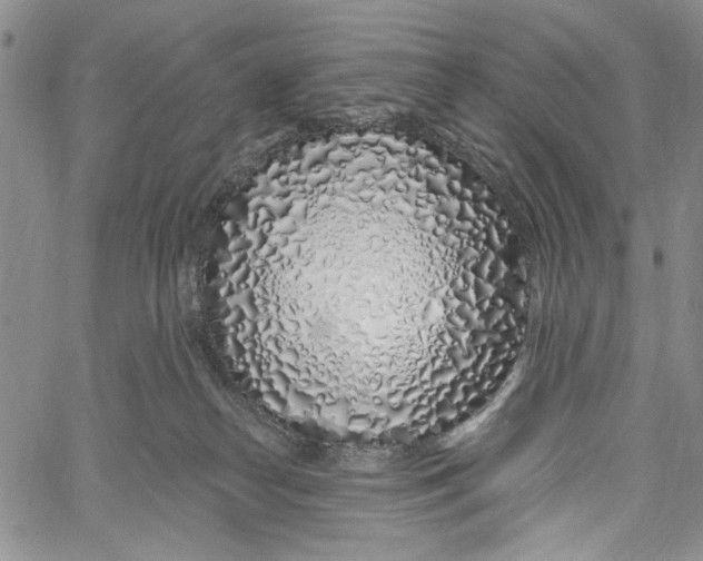 X0000060580182200512011742