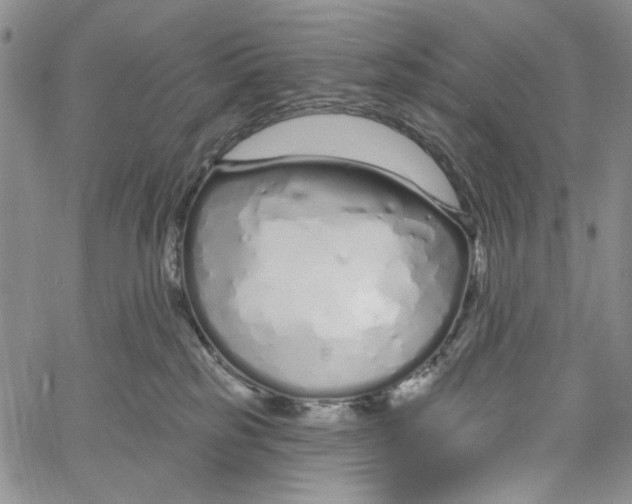 X0000060580185200512011742