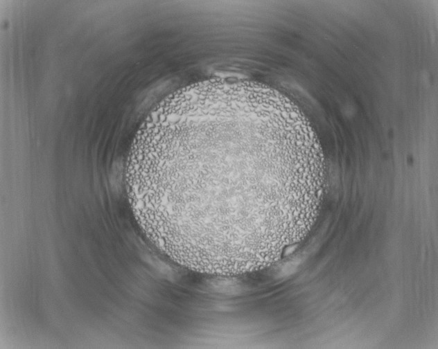 X0000060580189200512011742