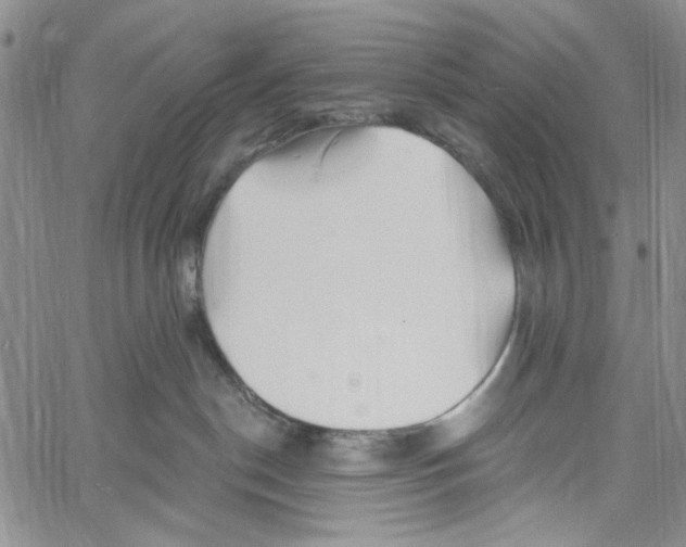 X0000060580190200512011742