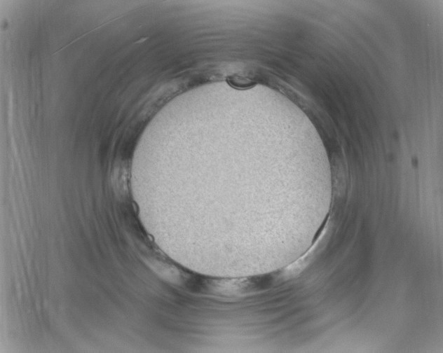 X0000060580191200512011742