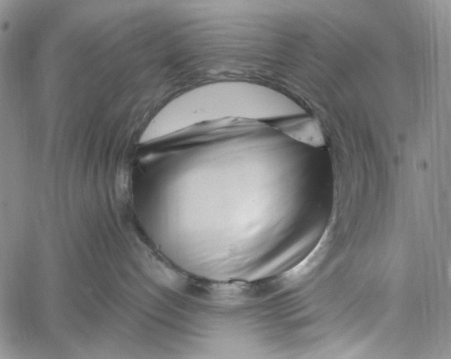 X0000060580192200512011742