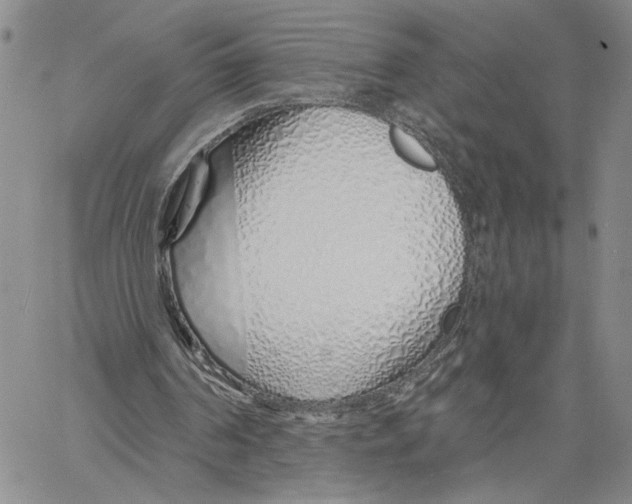 X0000060580194200512011741