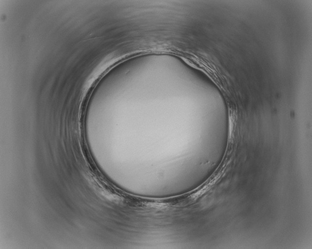 X0000060580195200512011741