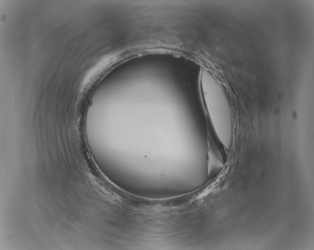 X0000060580197200512011741