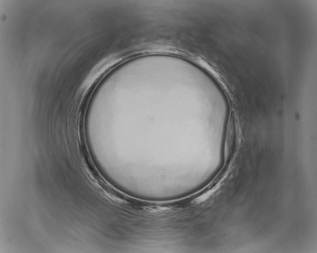 X0000060580199200512011741