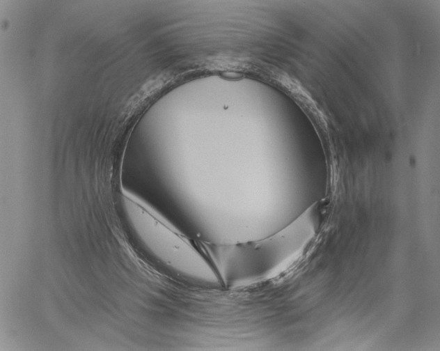 X0000060580201200512011741