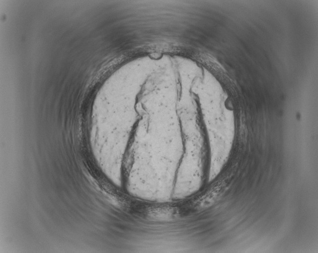 X0000060580202200512011741