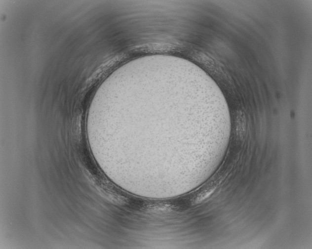 X0000060580206200512011741