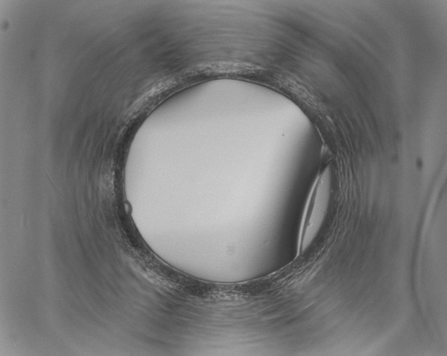 X0000060580207200512011741