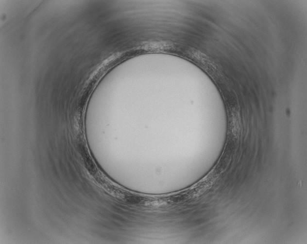 X0000060580208200512011741