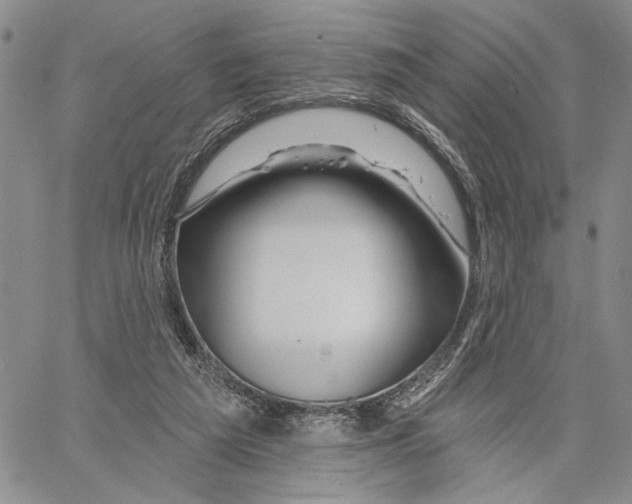 X0000060580209200512011741