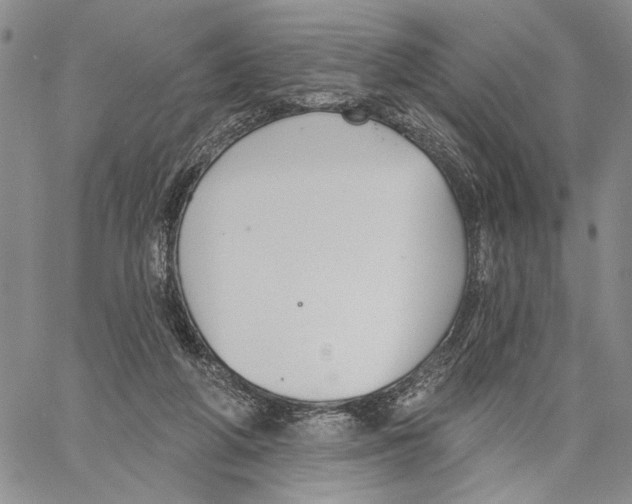 X0000060580210200512011741